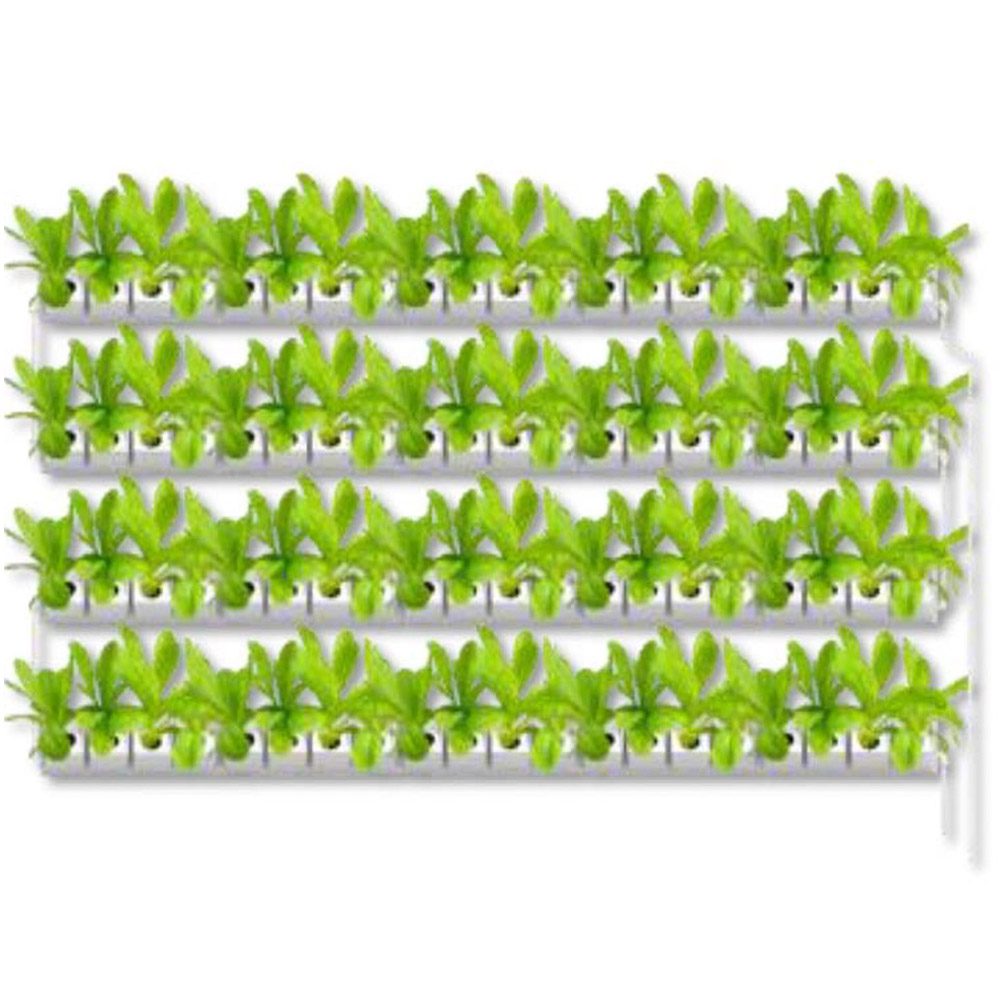 hydroponic wall 5