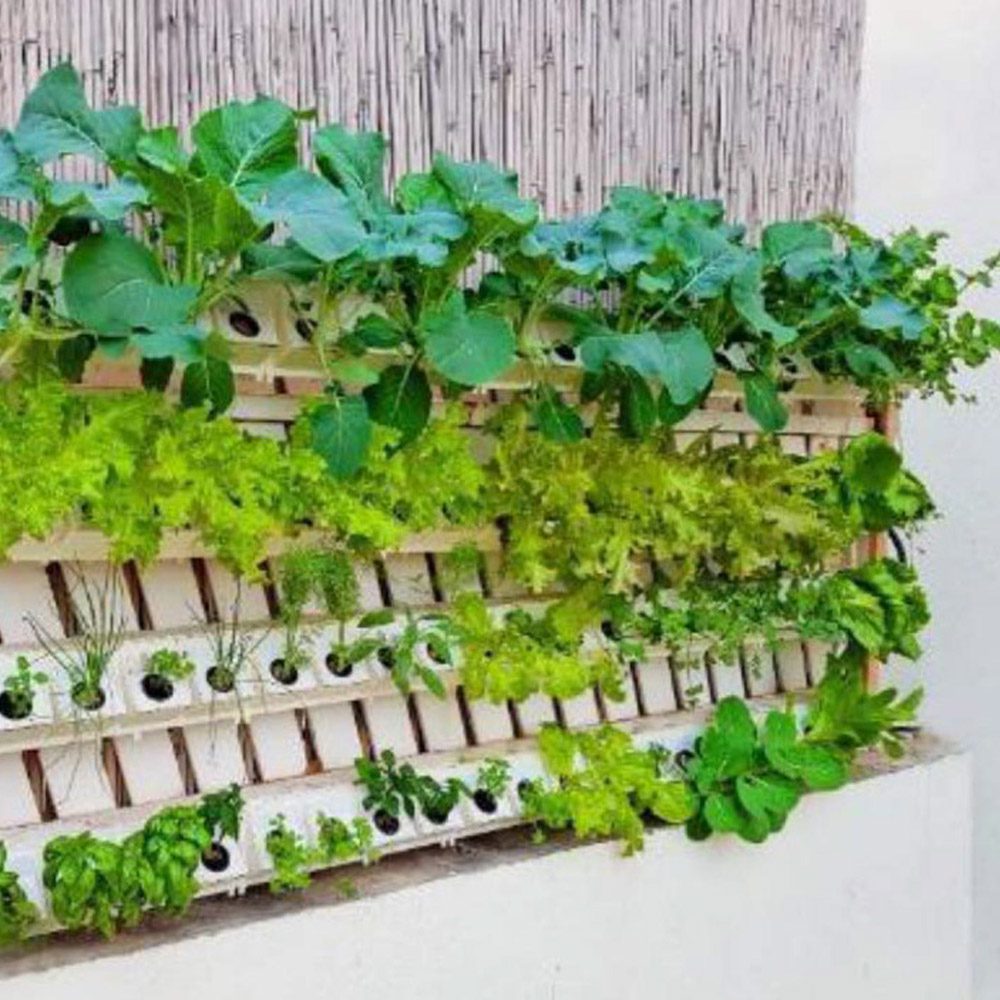 hydroponic wall